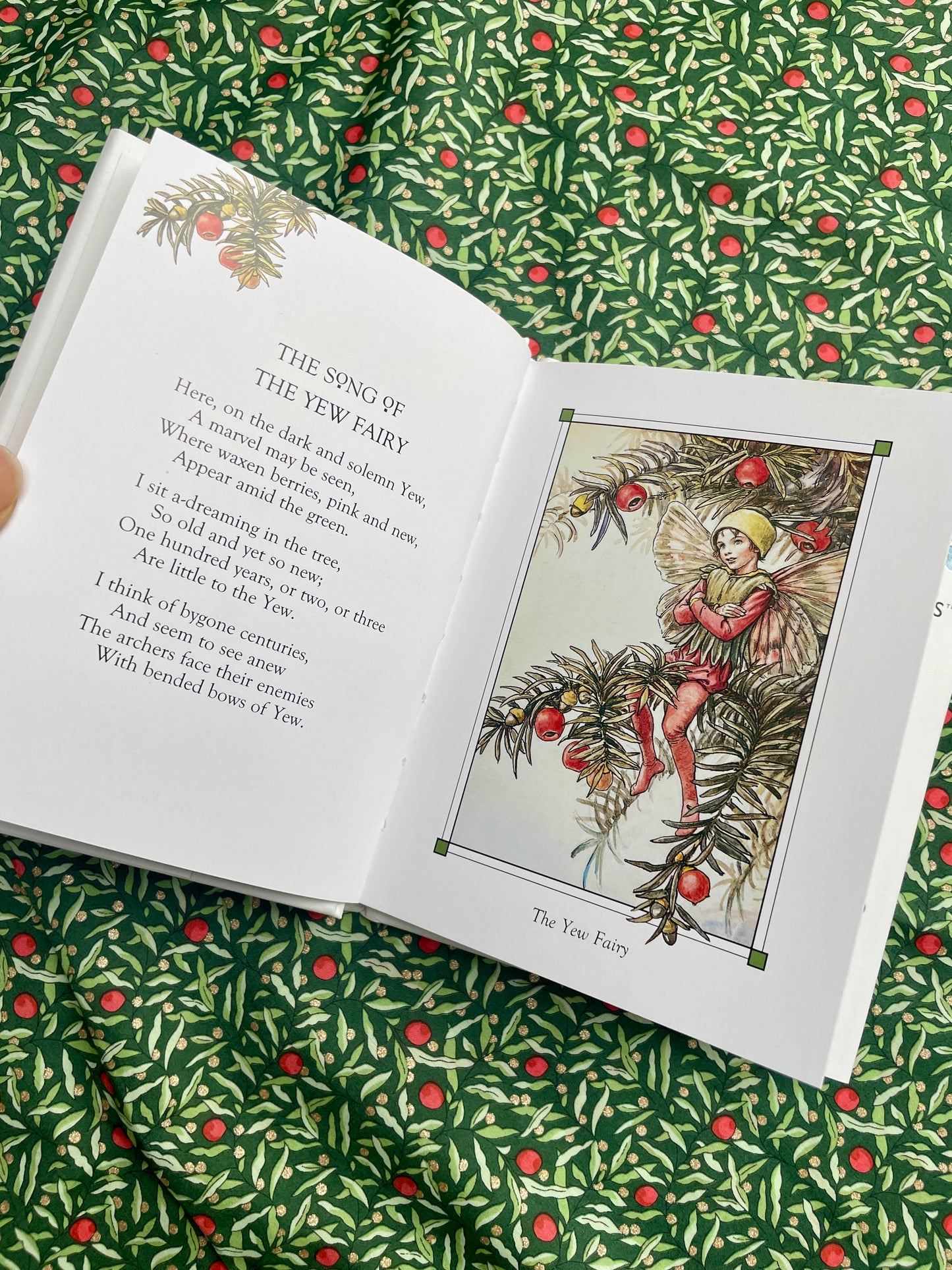 Flower Fairies of the Winter