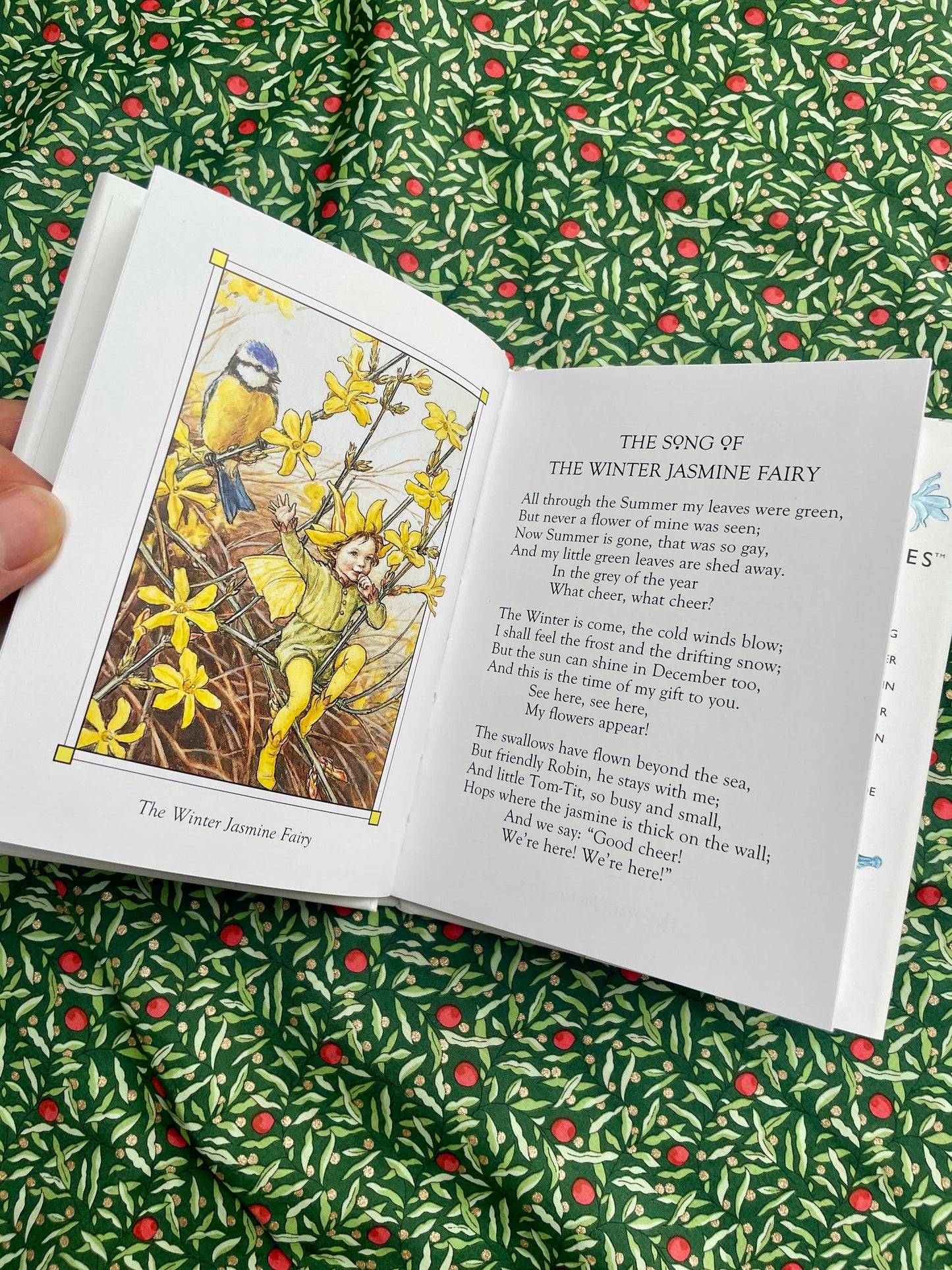 Flower Fairies of the Winter