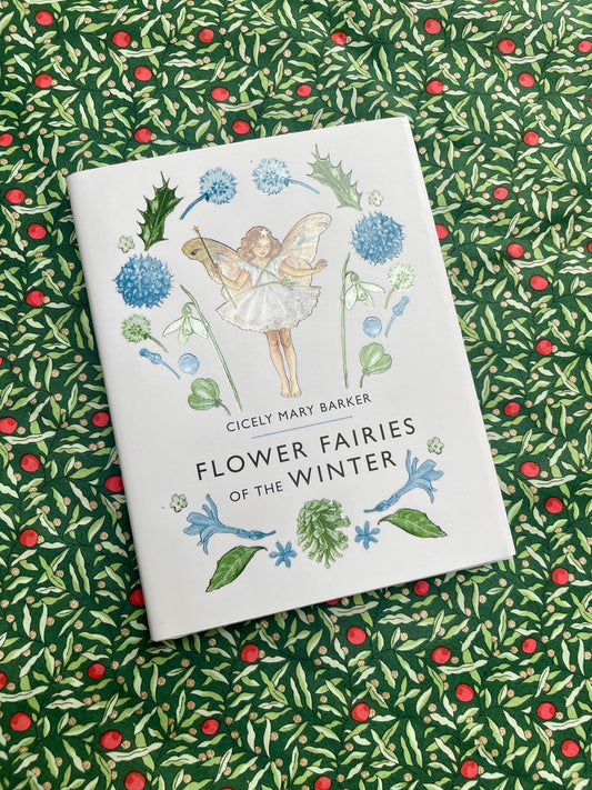 Flower Fairies of the Winter