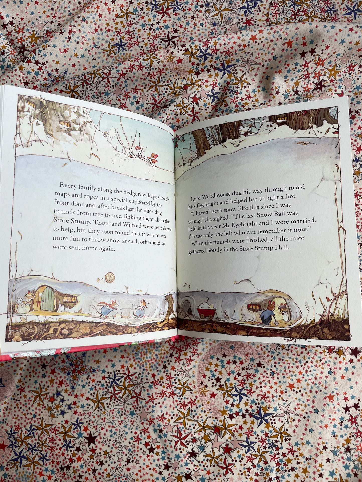 Winter Story - Brambly Hedge