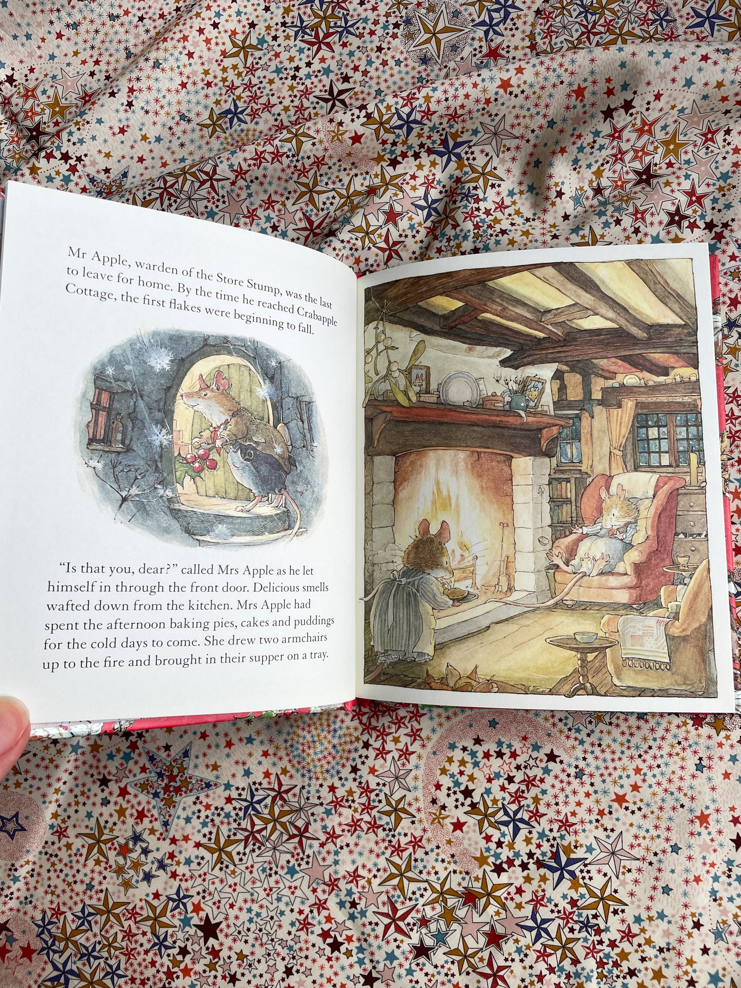 Winter Story - Brambly Hedge